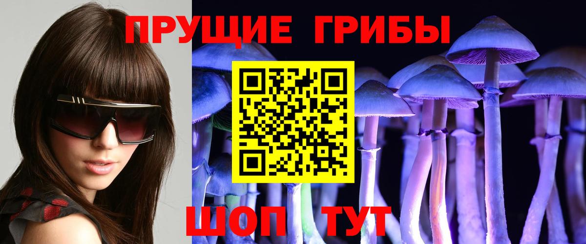 Воронеж  Галлюциногенные грибы Psilocybine cubensis  Вход с VPN 